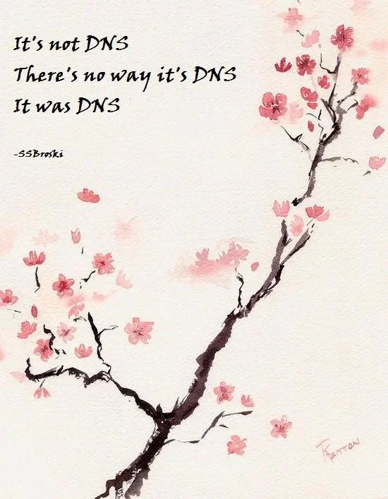 It's not DNS, there's no way it's DNS... it was DNS